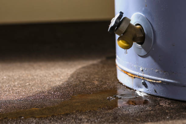 Best Carpet water damage restoration  in Boyes Hot Springs, CA