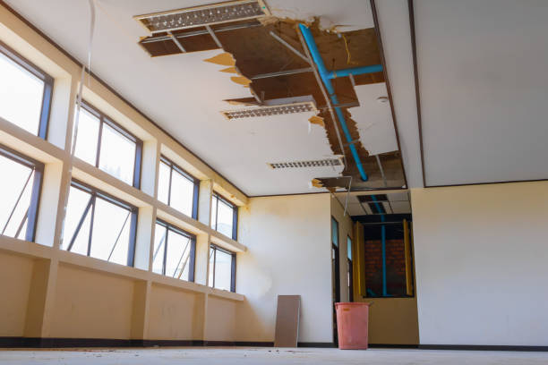 Best Professional water damage repair  in Boyes Hot Springs, CA