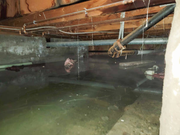Best Basement water damage restoration  in Boyes Hot Springs, CA