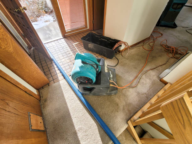 Best 24-hour water damage restoration  in Boyes Hot Springs, CA