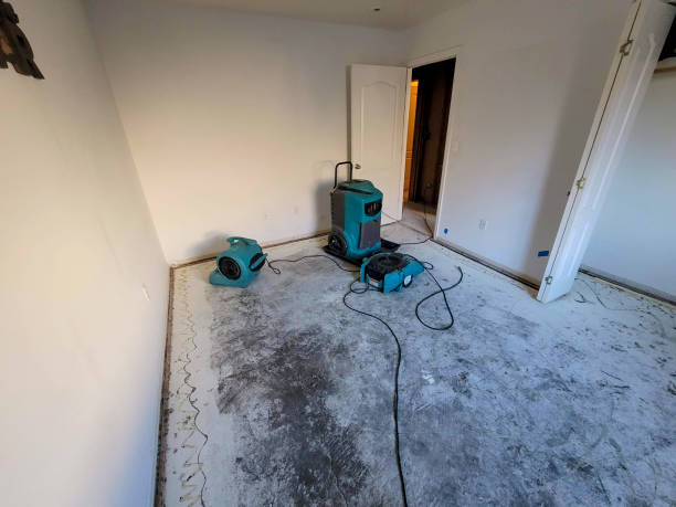 Best Ceiling water damage repair  in Boyes Hot Springs, CA