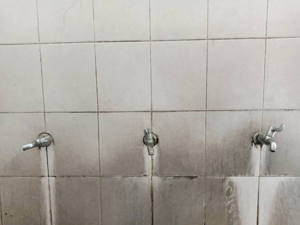 Best Water damage contractors near me  in Boyes Hot Springs, CA