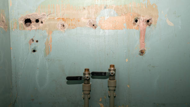 Best Water damage restoration near me  in Boyes Hot Springs, CA
